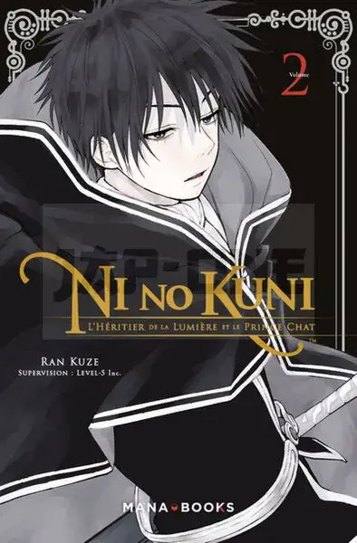 NI NO KUNI - TOME 2 - VOL02 Remise