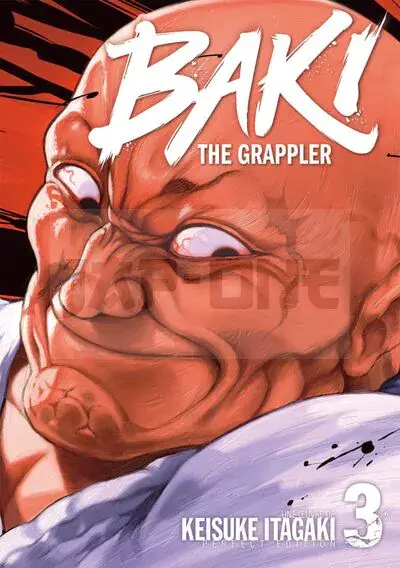 Prix Bas BAKI THE GRAPPLER - TOME 3 - PERFECT EDITION