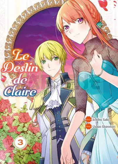 Expédition Rapide LE DESTIN DE CLAIRE T03