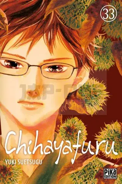Acheter Direct CHIHAYAFURU T33
