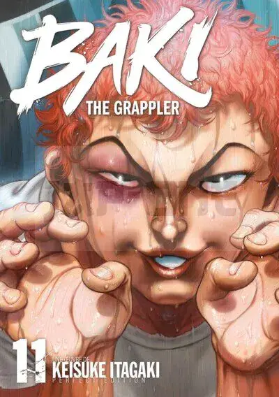 Vente Directe BAKI THE GRAPPLER - TOME 11 - PERFECT EDITION