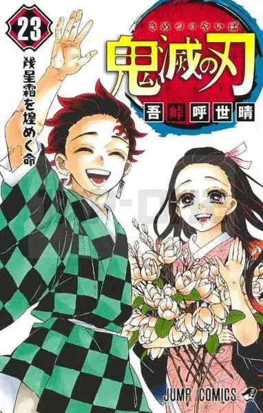 DEMON SLAYER 23 (VO JAPONAIS) Prix Cassé