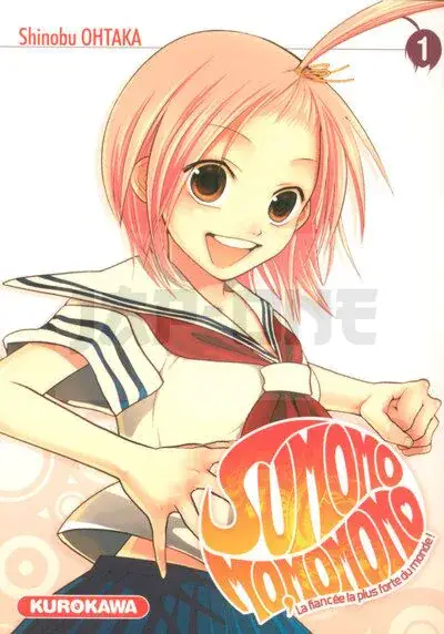 Commander Maintenant SUMOMOMO MOMOMO - TOME 1 - VOL01