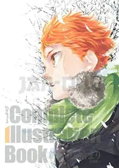Acheter Direct HAIKYU COMPLETE ILLUSTRATIONS ARTBOOK
