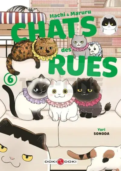 Commander Vite HACHI & MARURU - CHATS DES RUES - T06 - HACHI & MARURU - CHATS DES RUES - VOL. 06