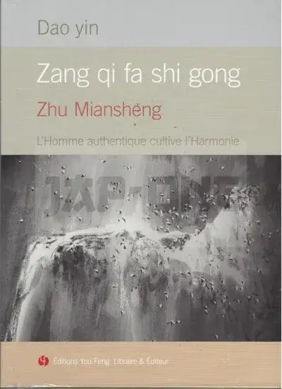Promotion DAO YIN, ZHANG QI FA SHI GONG : L&rsquo;HOMME AUTHENTIQUE CULTIVE L&rsquo;HARMONIE