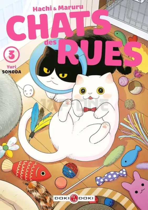 Promotion Saisonnière HACHI & MARURU - CHATS DES RUES - ECRIN - VOL 03 ET 04