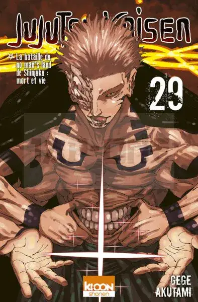 Authentique JUJUTSU KAISEN T29