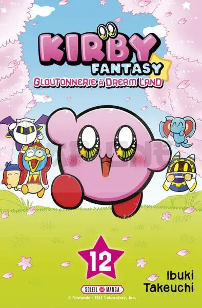 Offre Limitée KIRBY FANTASY T12 - VOL12