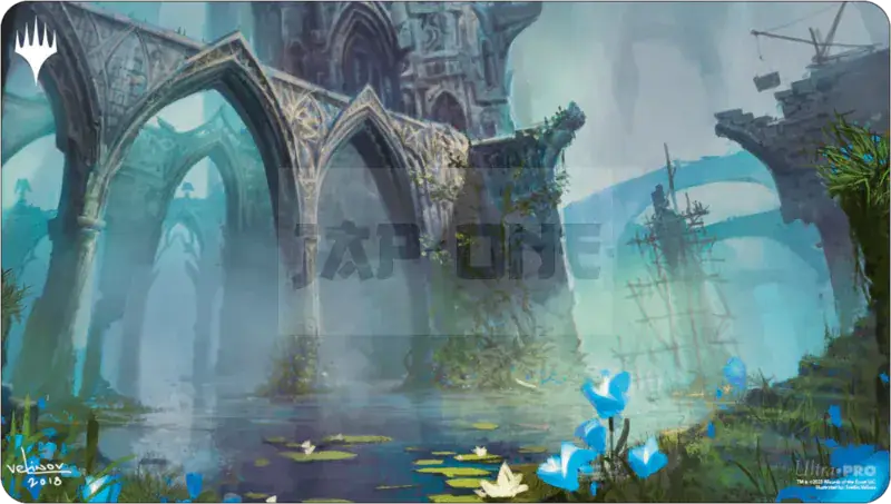 Meilleur Choix Mtg : Playmat Ravnica Remastered House Dimir N/A N/A