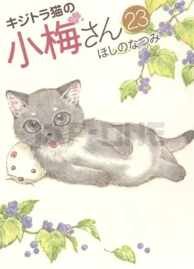 Expédié Aujourd'hui PLUM, UN AMOUR DE CHAT T23