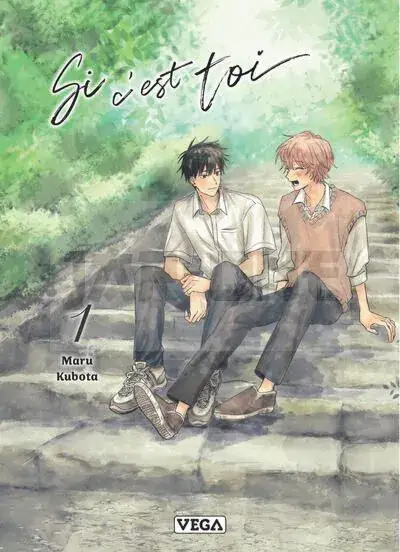 Must-Have SI C'EST TOI - TOME 1
