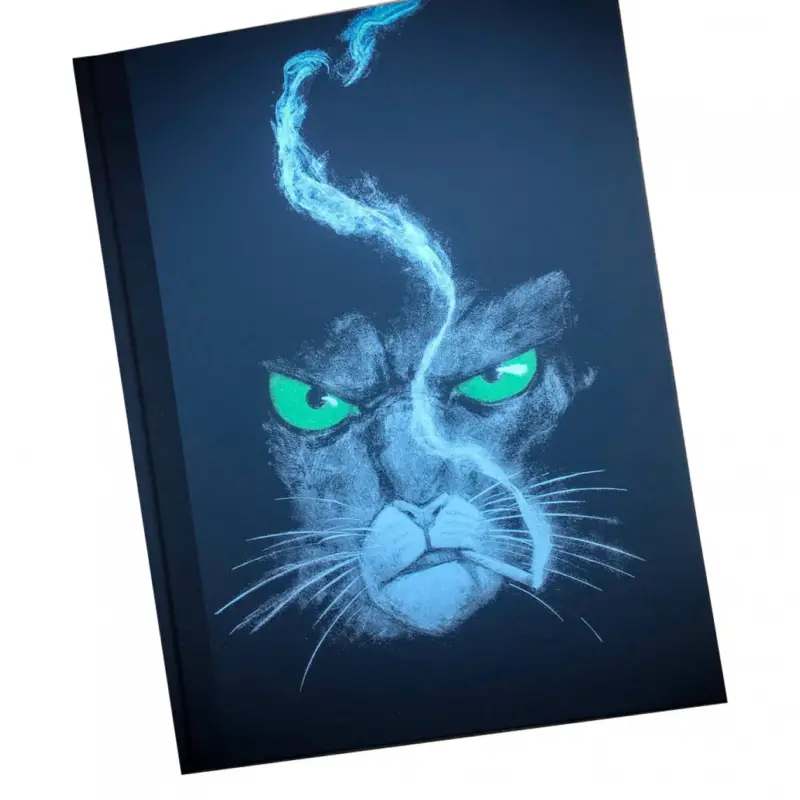 Promotion Saisonnière Tirage de luxe - BLACKSAD - Quelque part entre les ombres
