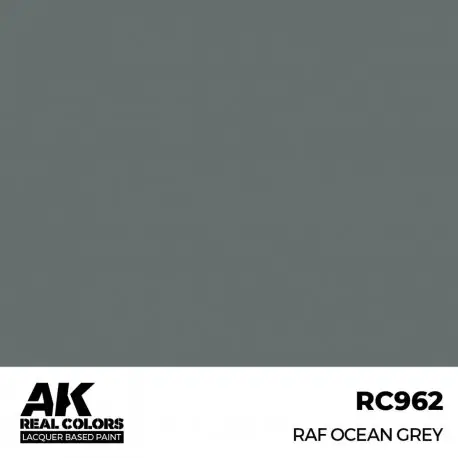 Peinture RAF Ocean Grey RC962 par AK-Interactive 17ml Commande En Gros
