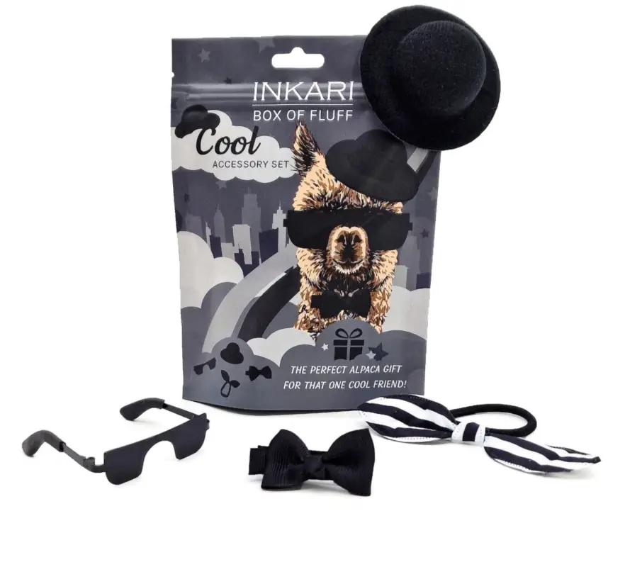 Petit Prix INKARI Boîte de peluches Cool
