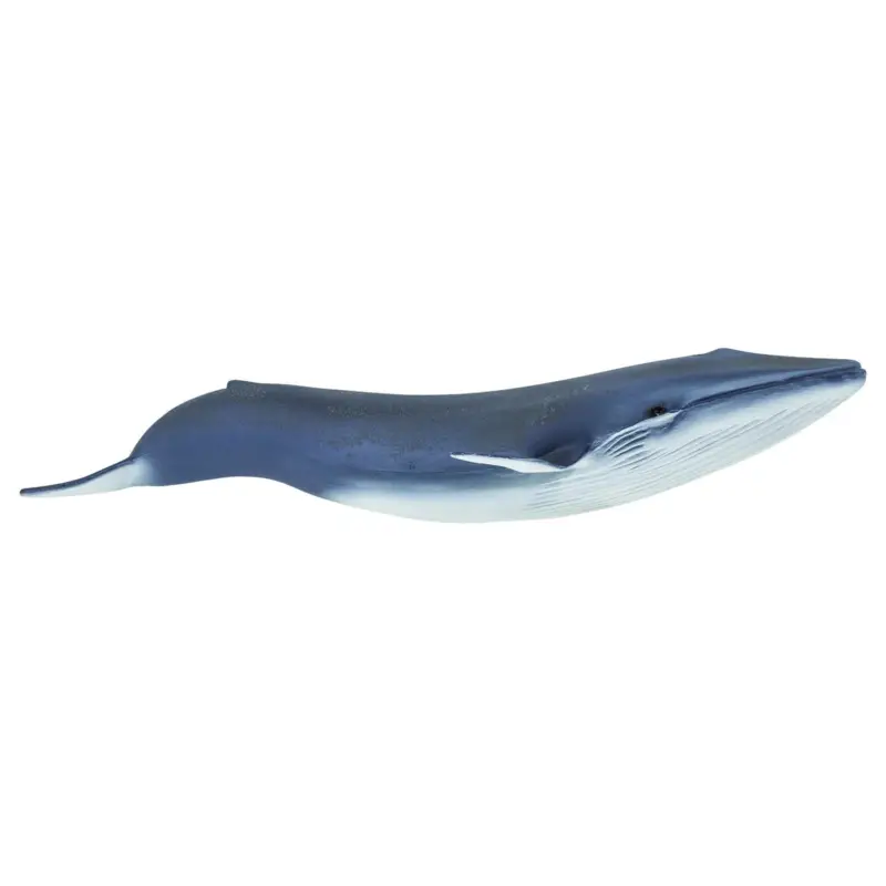 Meilleur Prix Safari® Baleine bleue