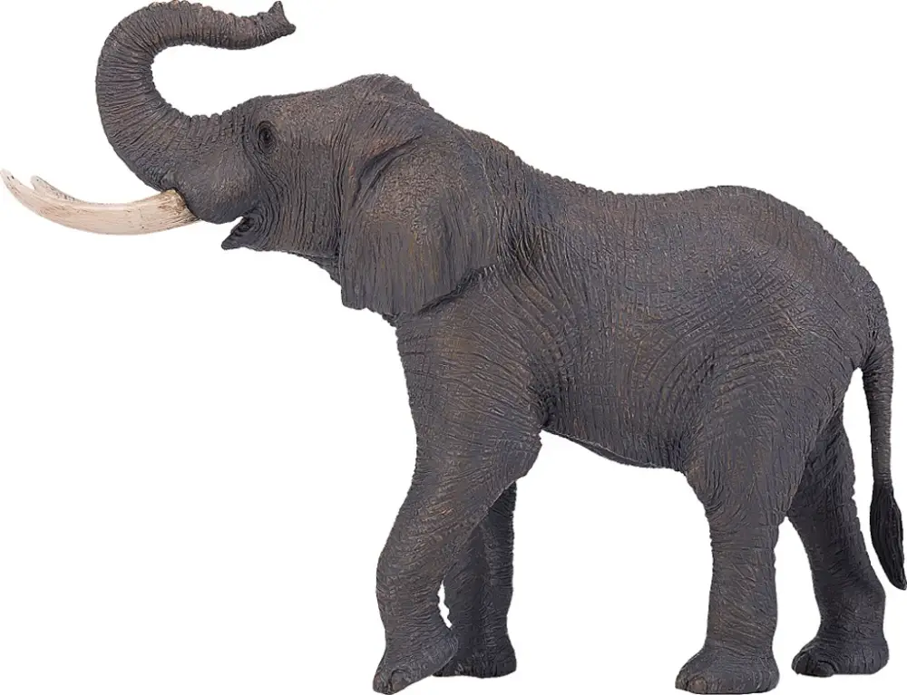 Livraison Express Mojo éléphant d'Afrique